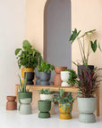 Twist Planter