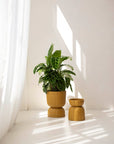 Twist Planter