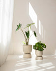 Twist Planter